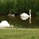 Vakantie Meerlo Отель Мерло