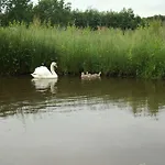 Отель Vakantie Meerlo 2*