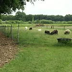 Отель Vakantie Meerlo 2*