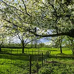 Отель Vakantie Meerlo 2*