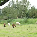Vakantie Meerlo Meerlo