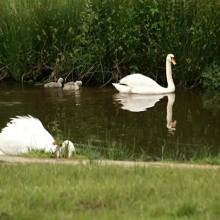 Vakantie Meerlo Hotel Meerlo