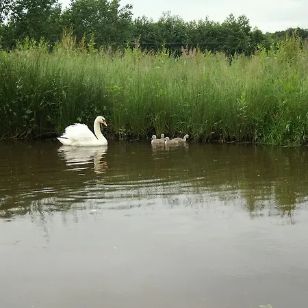 Hotel Vakantie Meerlo 2*