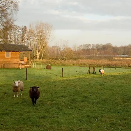 Vakantie Meerlo 2*