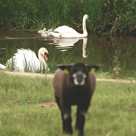 Hotel Vakantie Meerlo