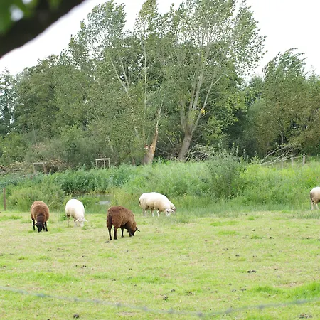 Vakantie Meerlo Meerlo