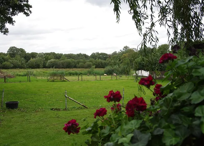 Vakantie Meerlo Отель 2*