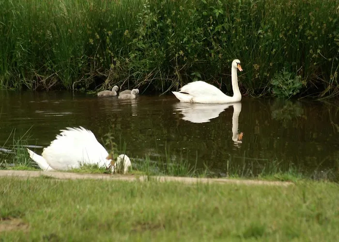 Vakantie Meerlo Hotel Meerlo