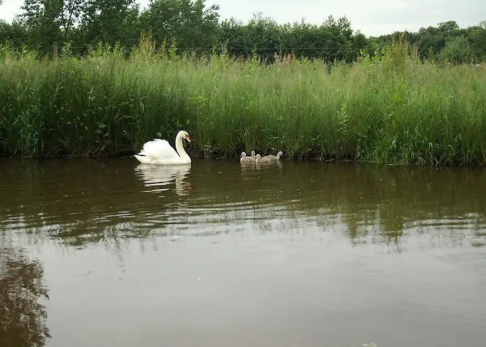 Hotel Vakantie Meerlo 2*