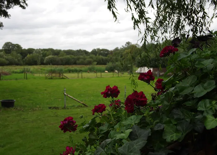 Vakantie Meerlo Отель