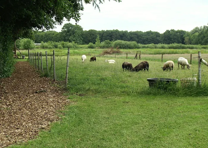 Отель Vakantie Meerlo 2*