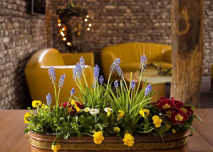 Отель Vakantie Meerlo Мерло