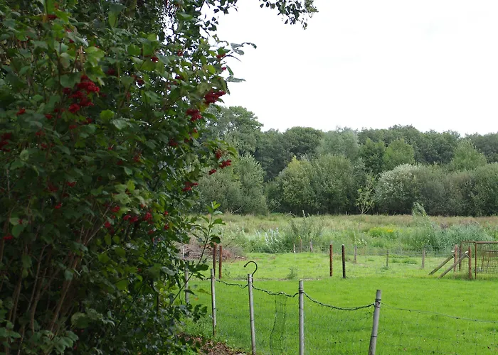 Hotel Vakantie Meerlo Meerlo