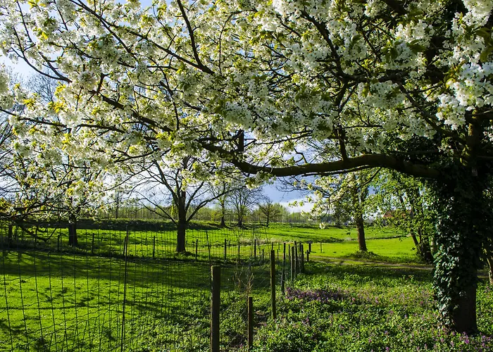 Hotel Vakantie Meerlo 2*