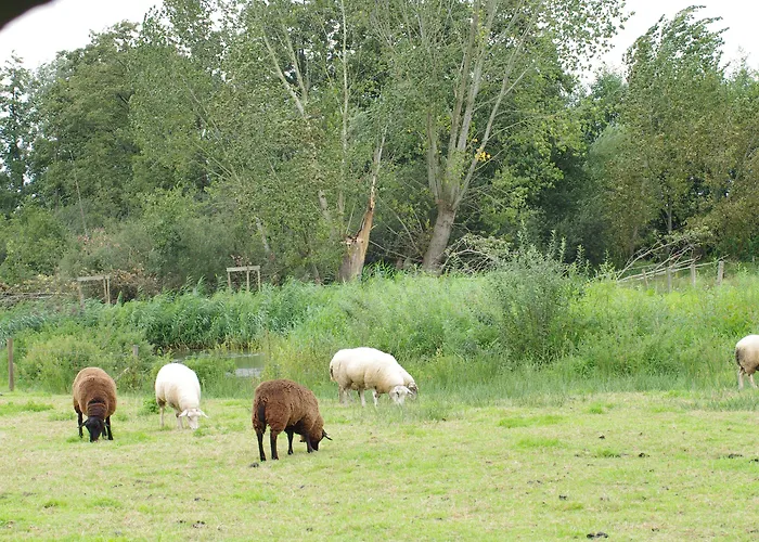 Vakantie Meerlo Мерло