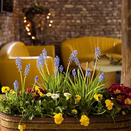 Hotel Vakantie Meerlo Meerlo