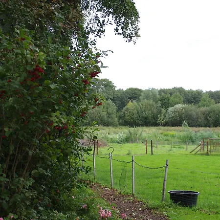 Hotel Vakantie Meerlo Meerlo