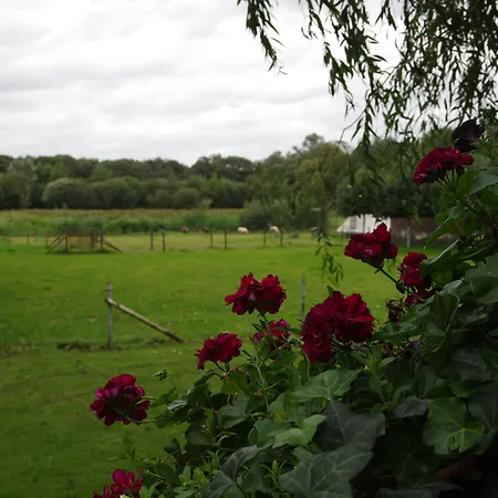 Hotel Vakantie Meerlo