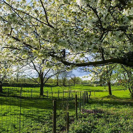 Hotel Vakantie Meerlo 2*