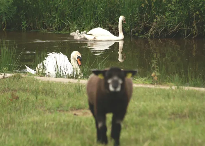 Hotel Vakantie Meerlo
