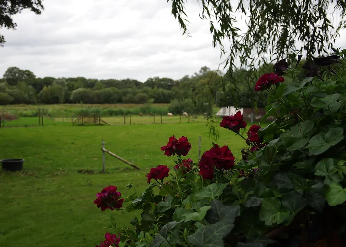 Hotel Vakantie Meerlo